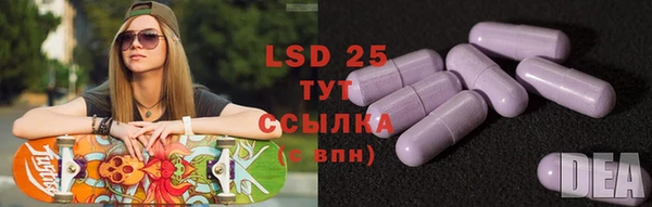 индика Бикин