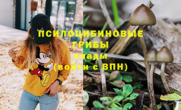 спиды Майский