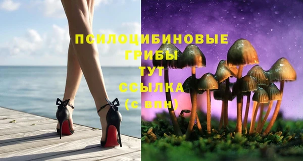 мескалин Беслан
