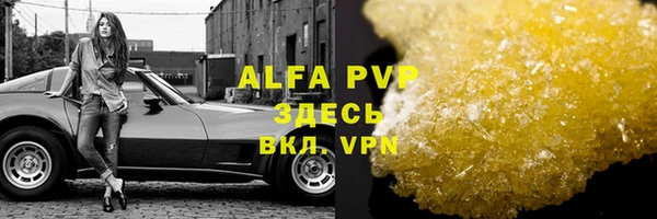 спиды Майский