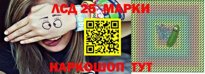 a pvp Гатчина