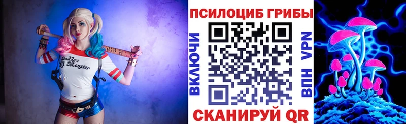 kraken ССЫЛКА  Заволжье  Псилоцибиновые грибы Psilocybine cubensis 