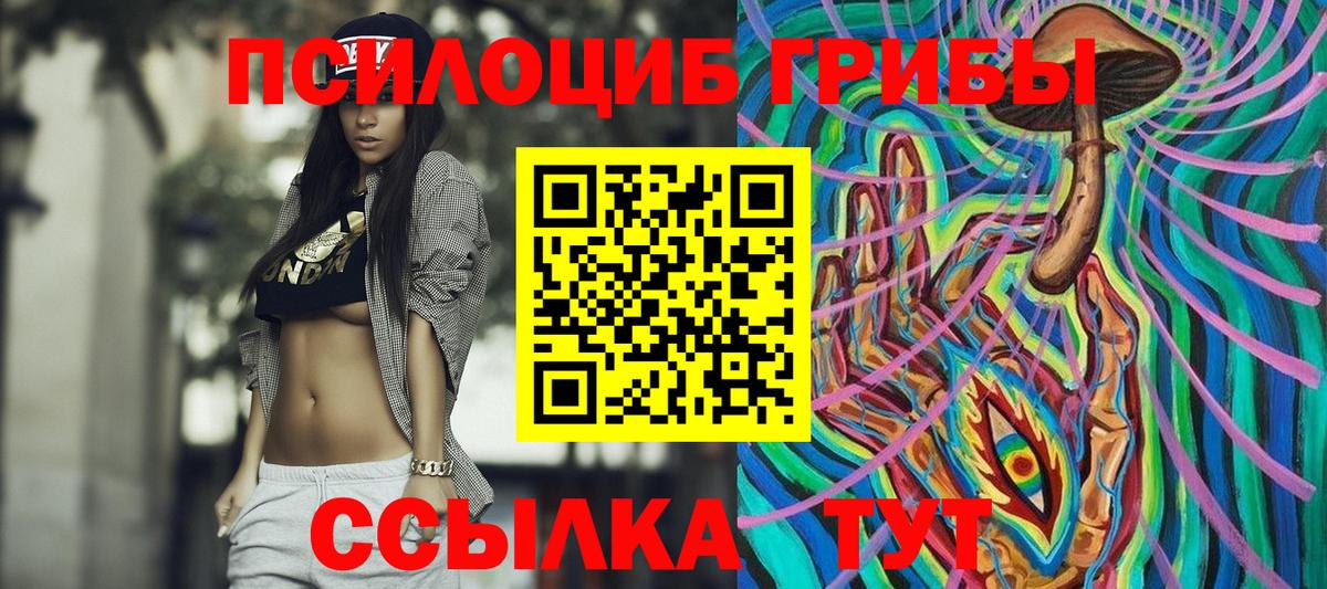 Заволжье  Псилоцибиновые грибы мицелий  Вход с VPN  купить закладку  Псилоцибиновые грибы Psilocybe 