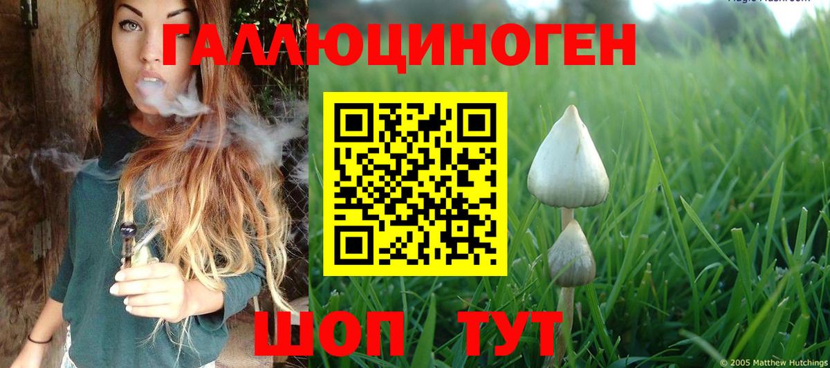 Псилоцибиновые грибы прущие грибы Заволжье